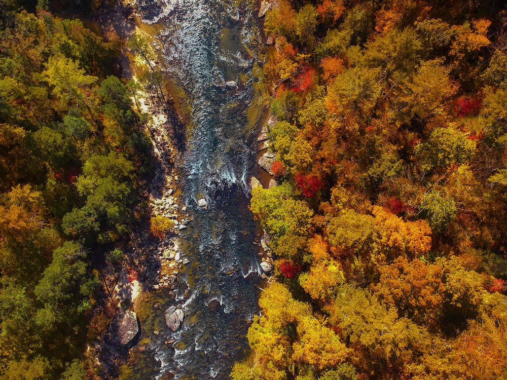 Image for North Carolina Vacation Rentals