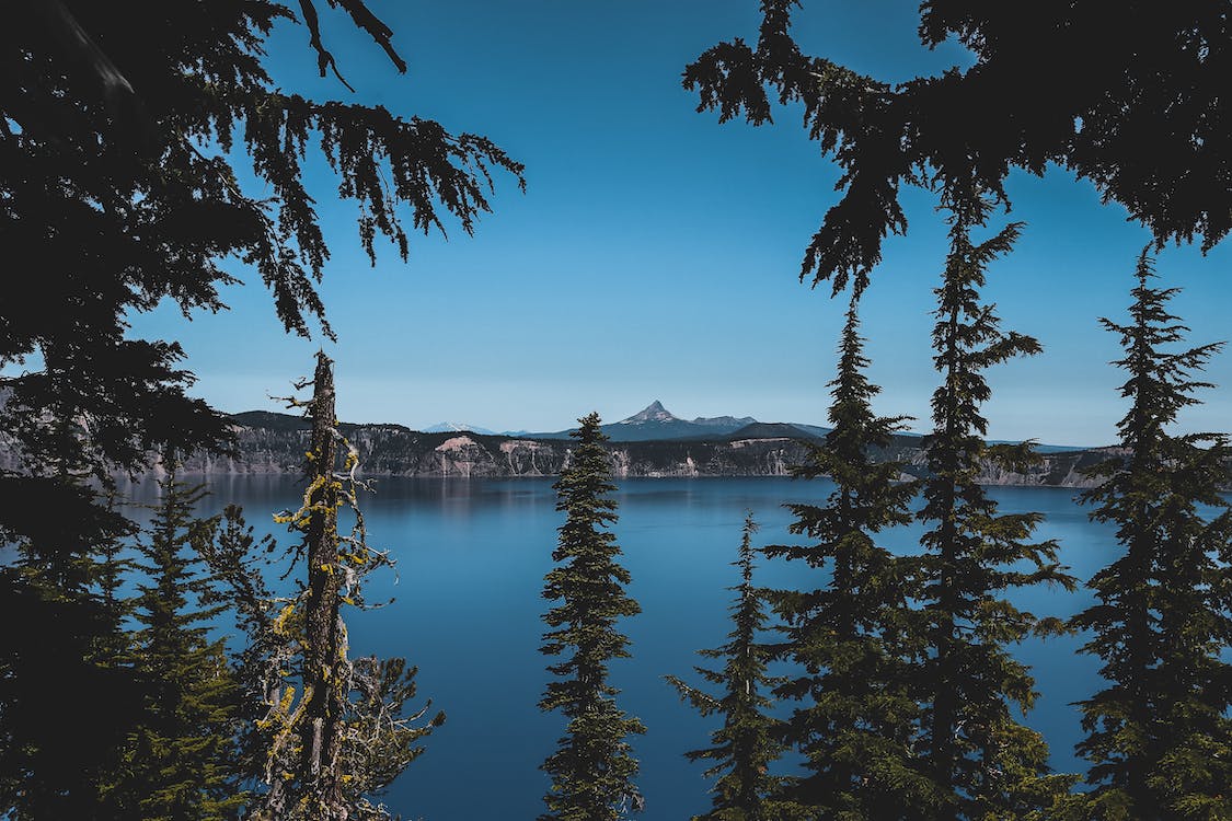 Image for Oregon Vacation Rentals